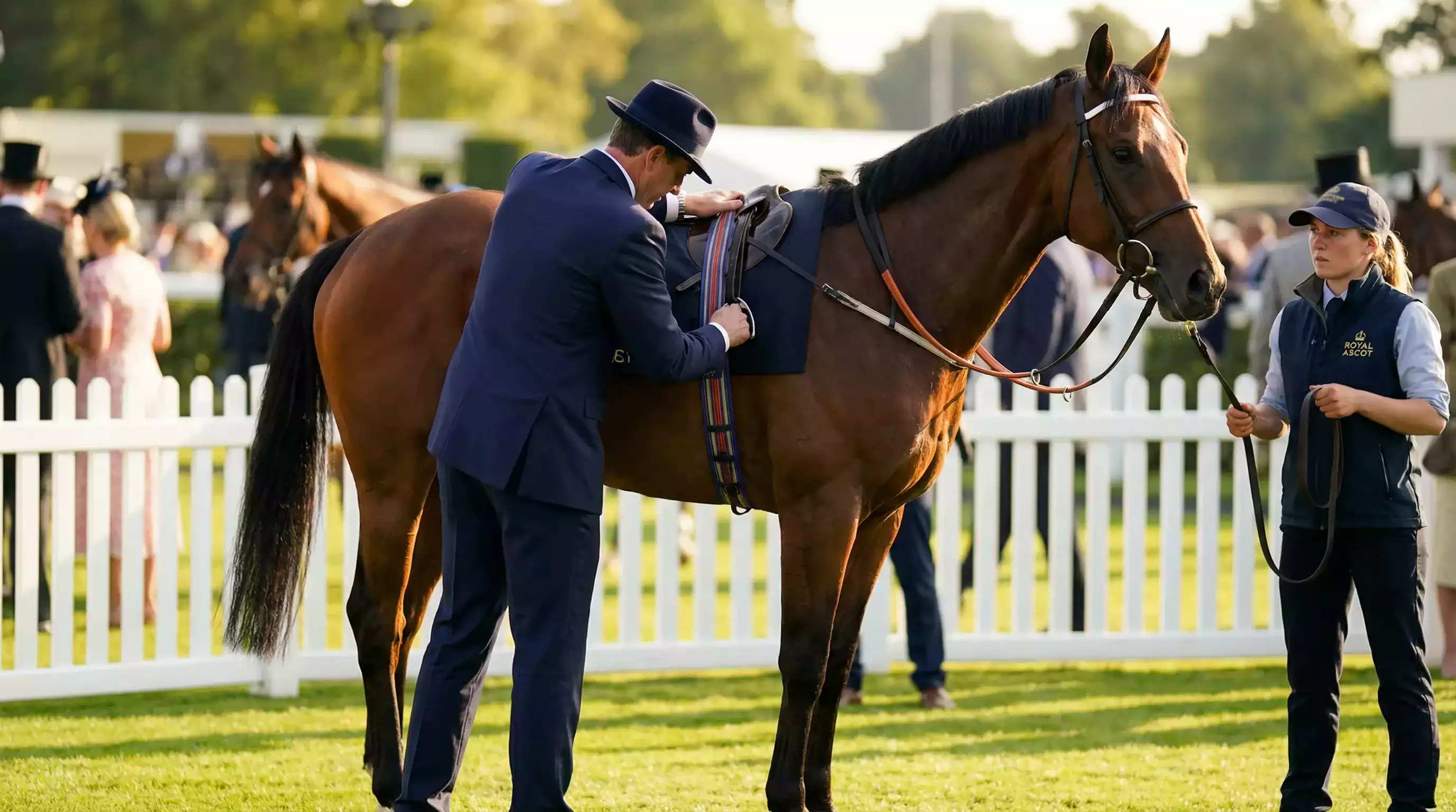 Trainer saddling a thoroughbred in the Royal Ascot parade ring